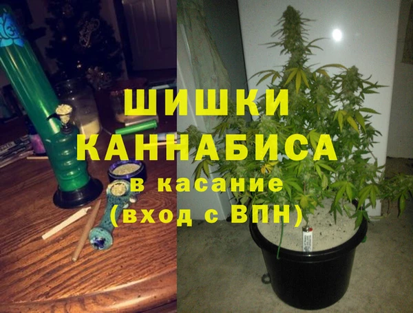 сатива Липки