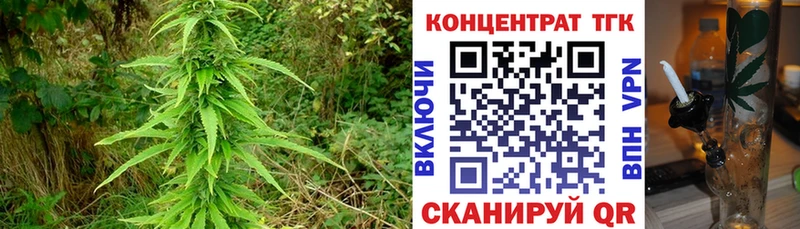 гидра ССЫЛКА  Тейково  ТГК концентрат 